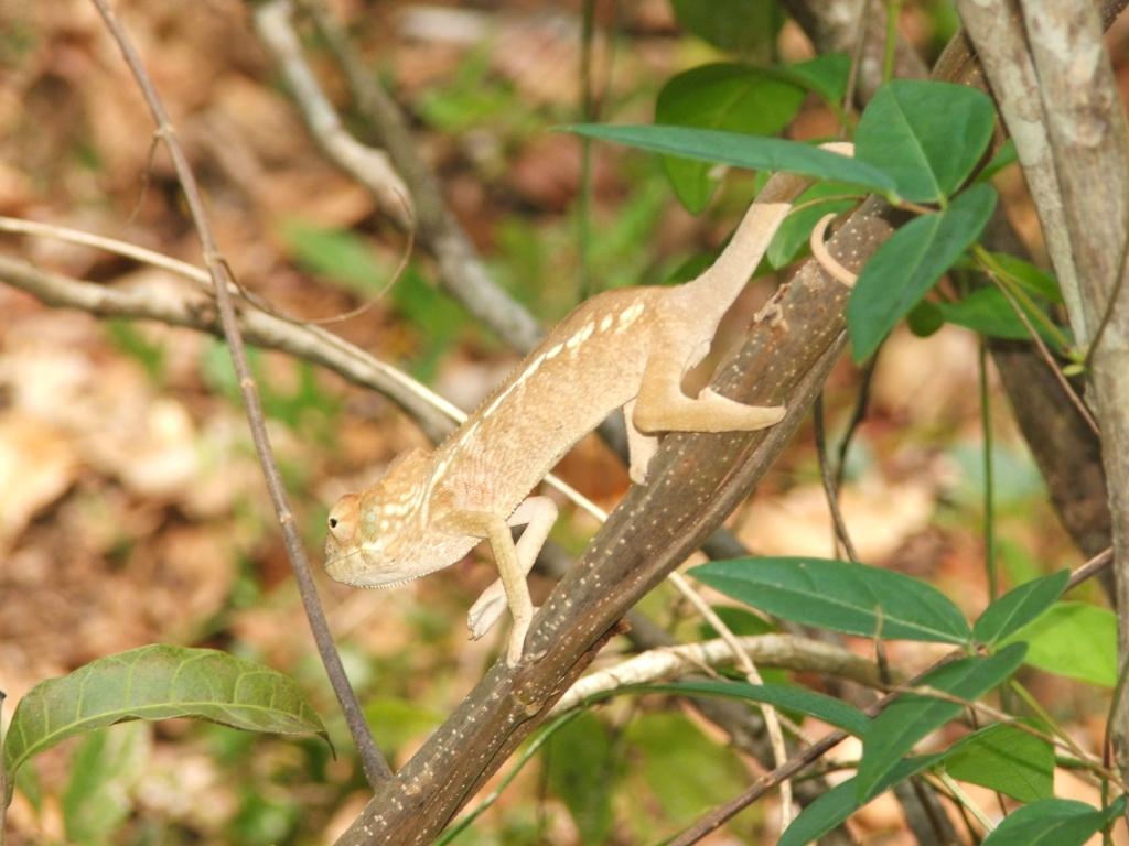Nosy b, piccola isola del Madagascar